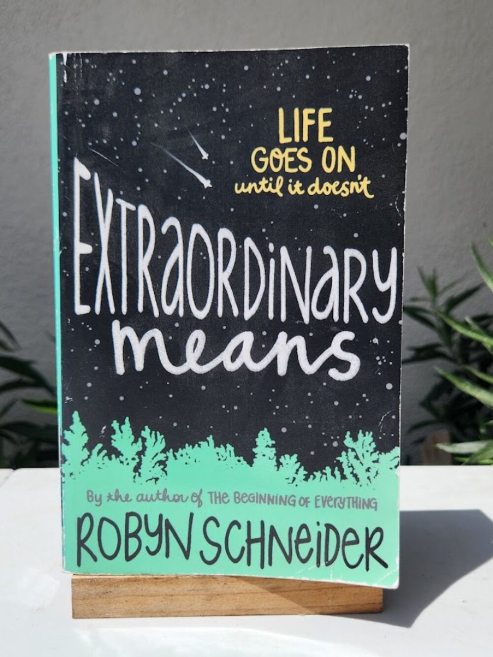 Extraordinary Means Book Paperback by Robyn Schneider Chapter Books Young Adult